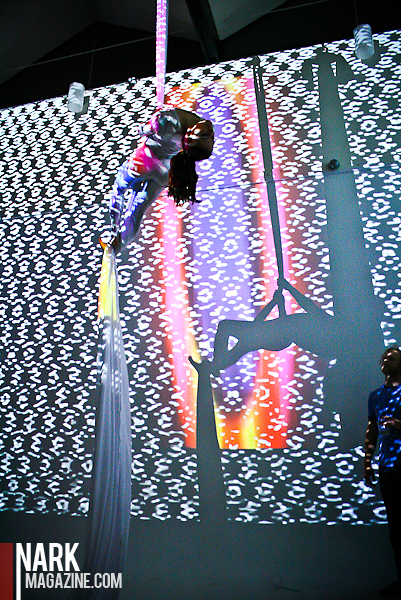 trouble_32_acrobat